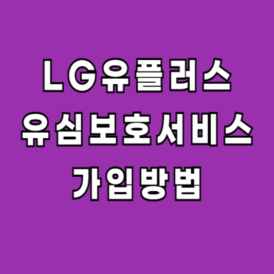 LG 유플러스 유심보호비스 가입하기