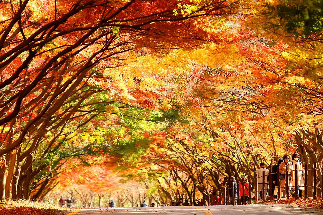 내장산 등산코스