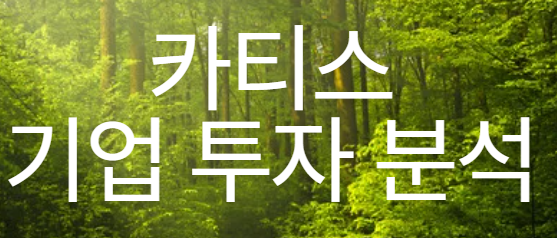 카티스 기업 투자 분석