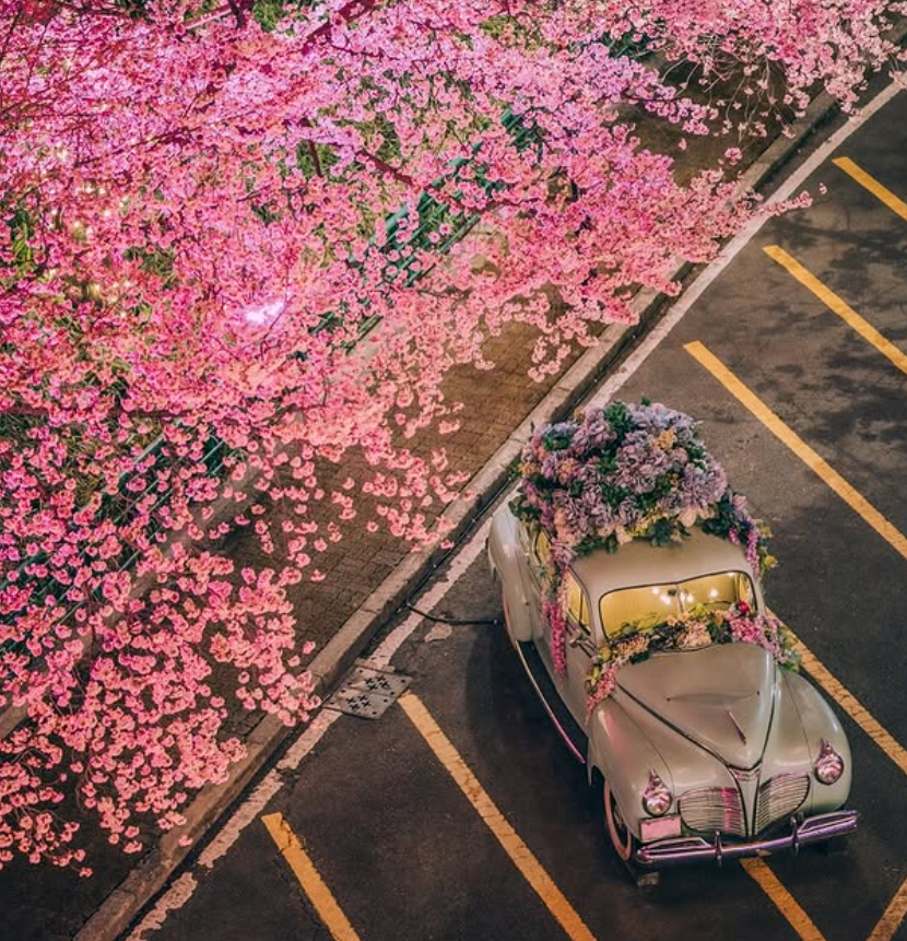 대구 이월드 자유이용권 할인