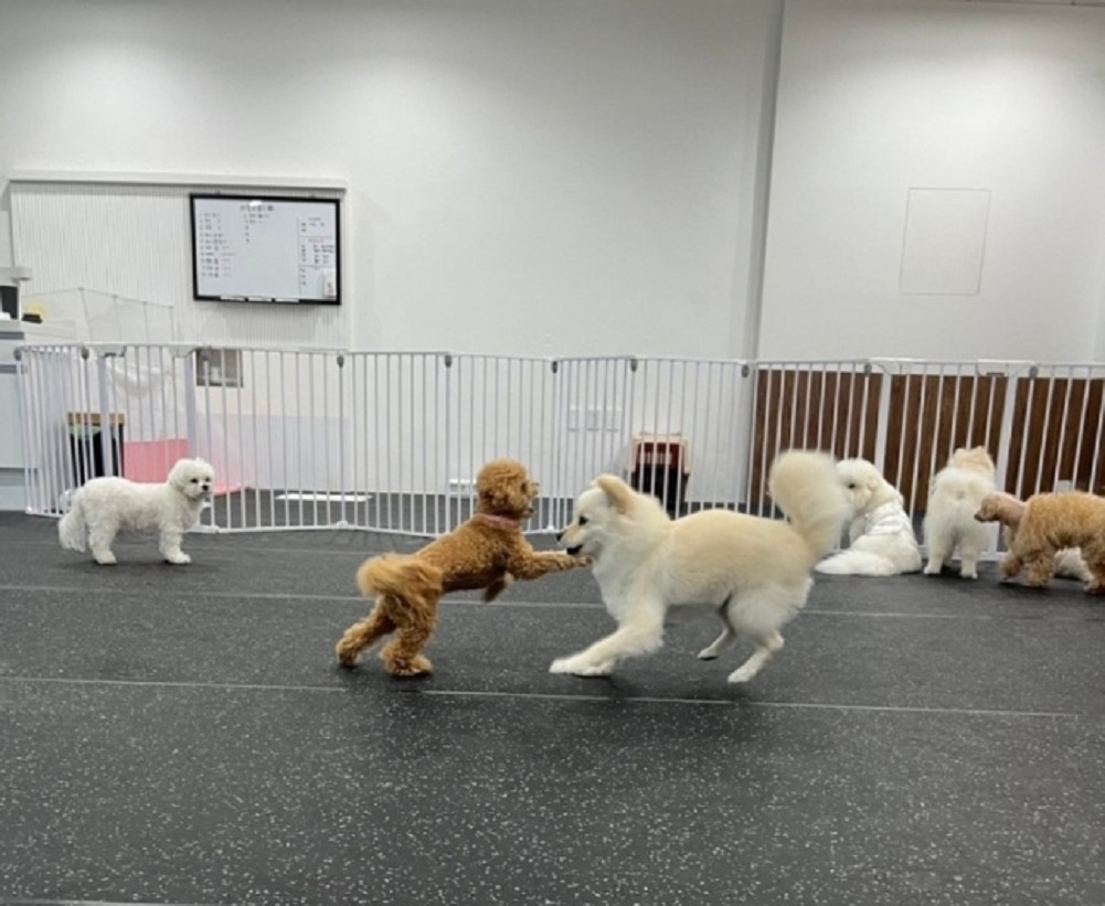 서용석-달인-맥스클래스