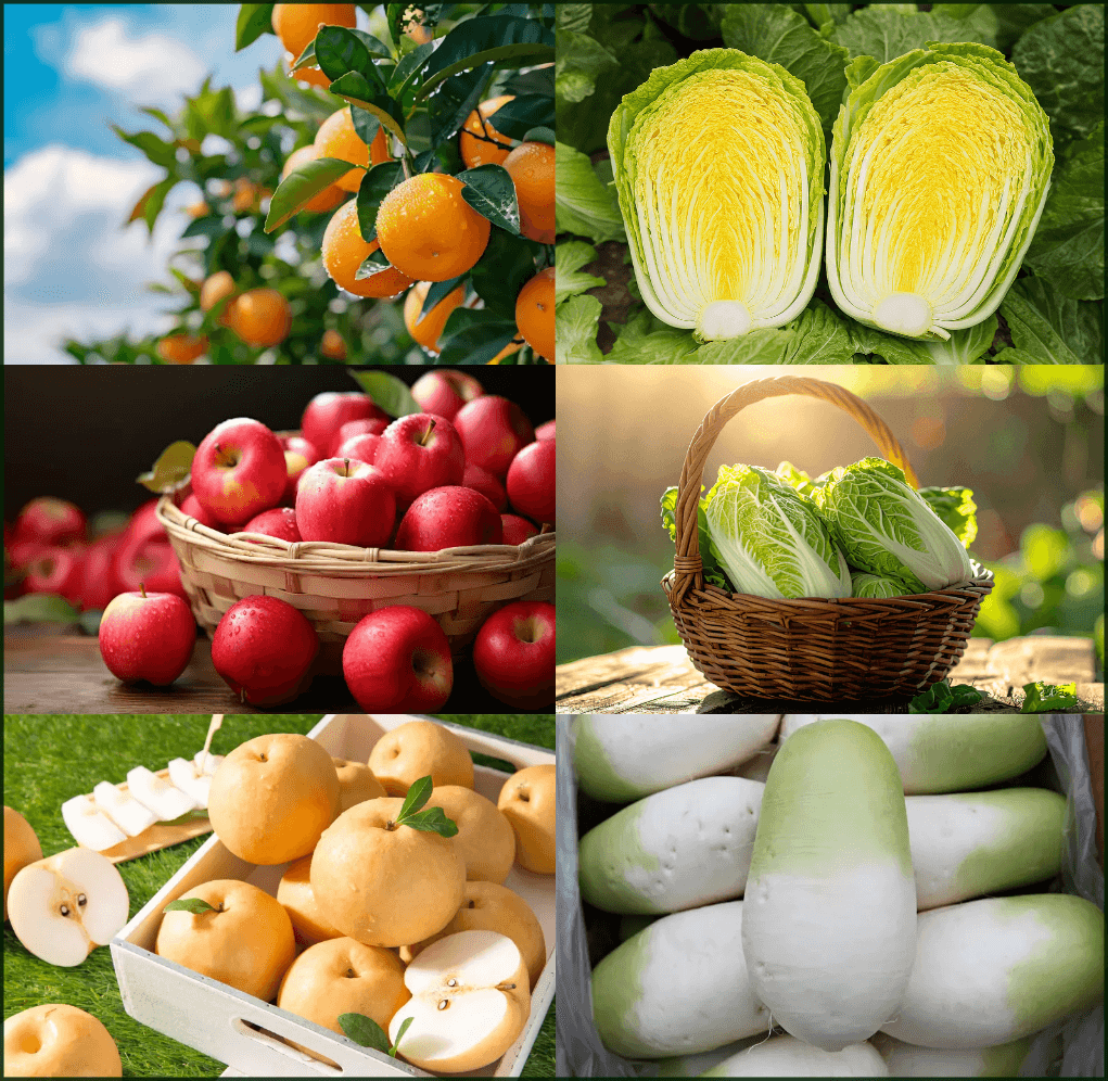 귤&middot;사과&middot;배와 무&middot;배추는 12월에 가장 많이 찾게 되는 제철 재료