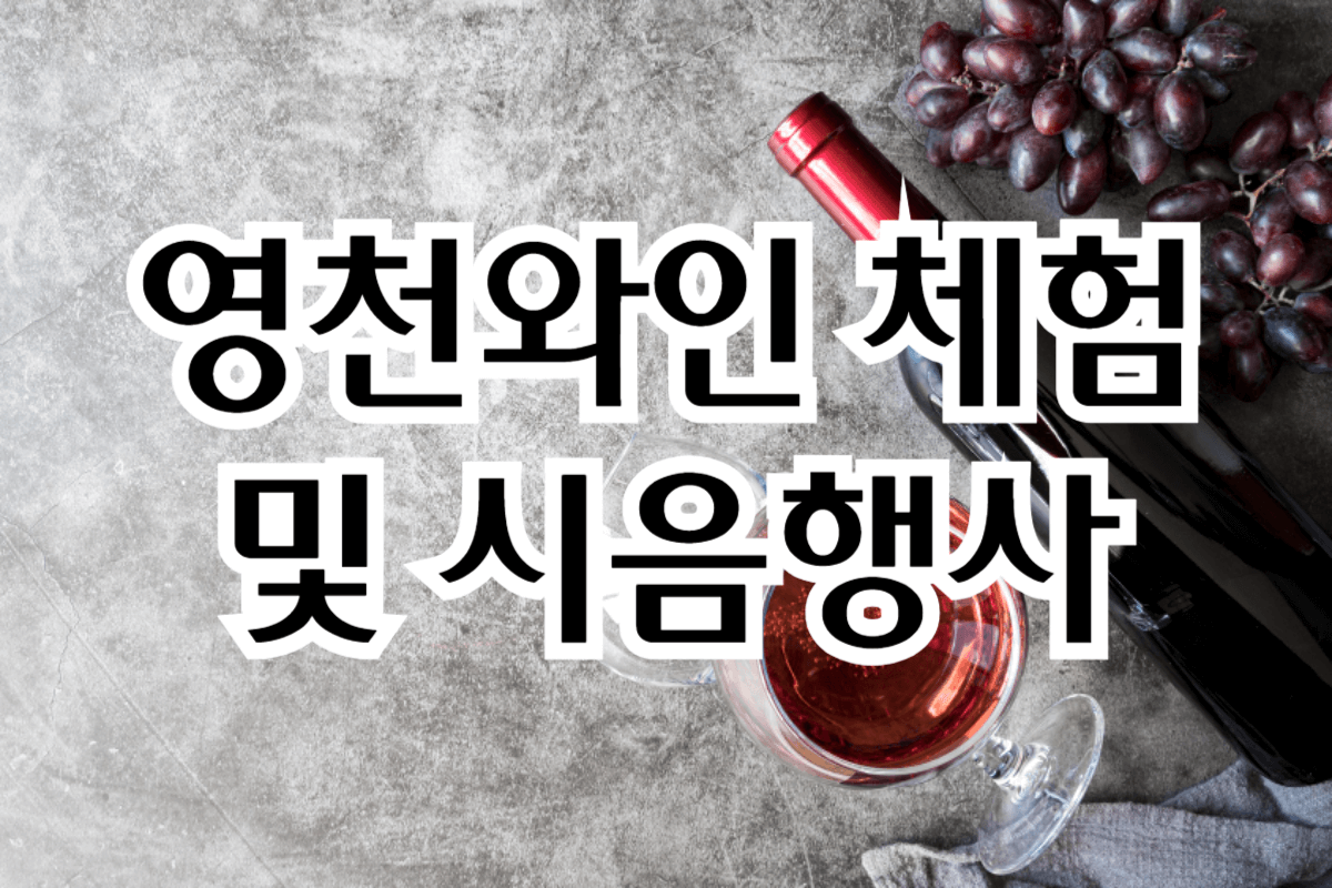 영천와인페스타, 영천와인축제, 영천와인, 영천축제, 경북축제, 대구축제, 대구근교축제, 대구근교 가볼만한곳, 경북 영천 가볼만한곳, 와인모임, 와인동호회, 와인 취미