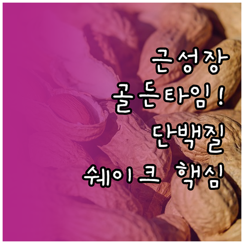 효율적인 근성장을 위한 단백질 쉐이크..
