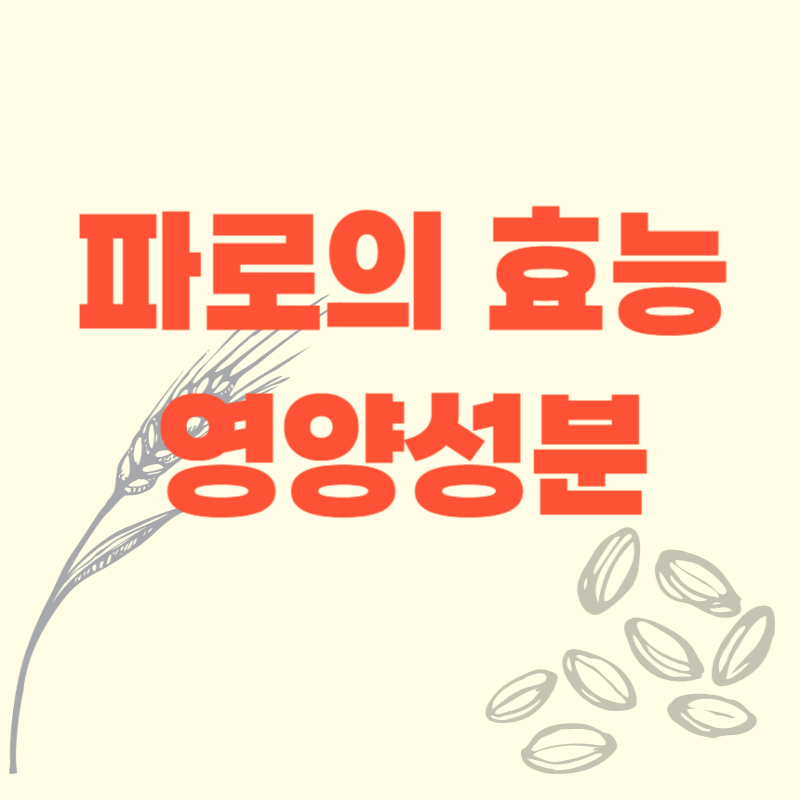 고대 곡물 파로 효능·영양 성분 총정리
