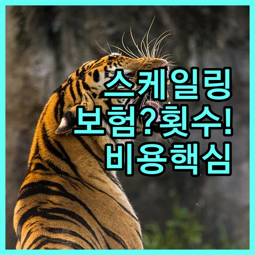 예방 목적 치료 목적 스케일링 건강보..