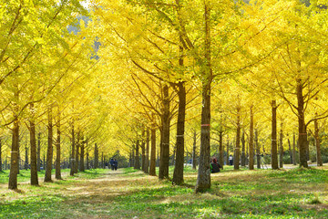 2023 단풍여행 시기 지역별 명소