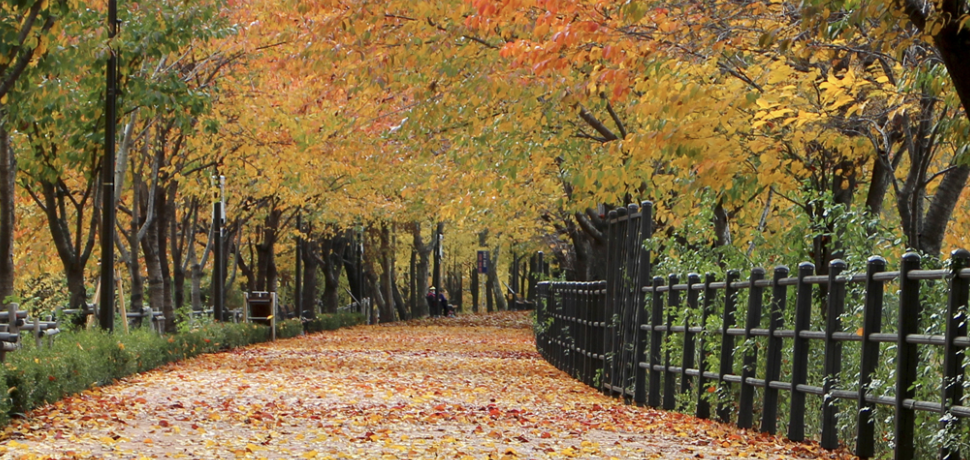 송정제방길 이미지