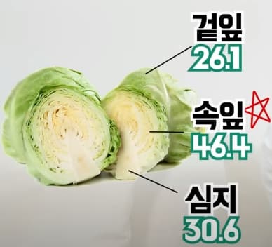 양배추-부위에-따른-비타민-함량