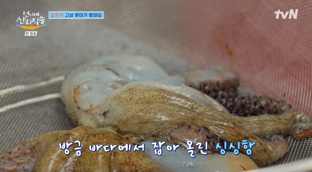언니네산지직송 염정아 해물부추전 레시피