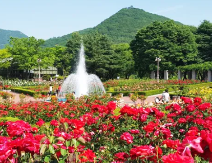 인천대공원