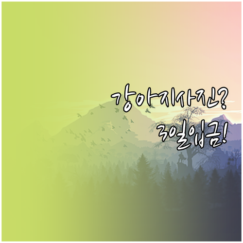 강아지 보험 다이렉트 청구 방법 앱으..