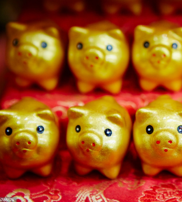 황금색 돼지 사진