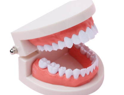 의료급여 수급자 노인 틀니 지원