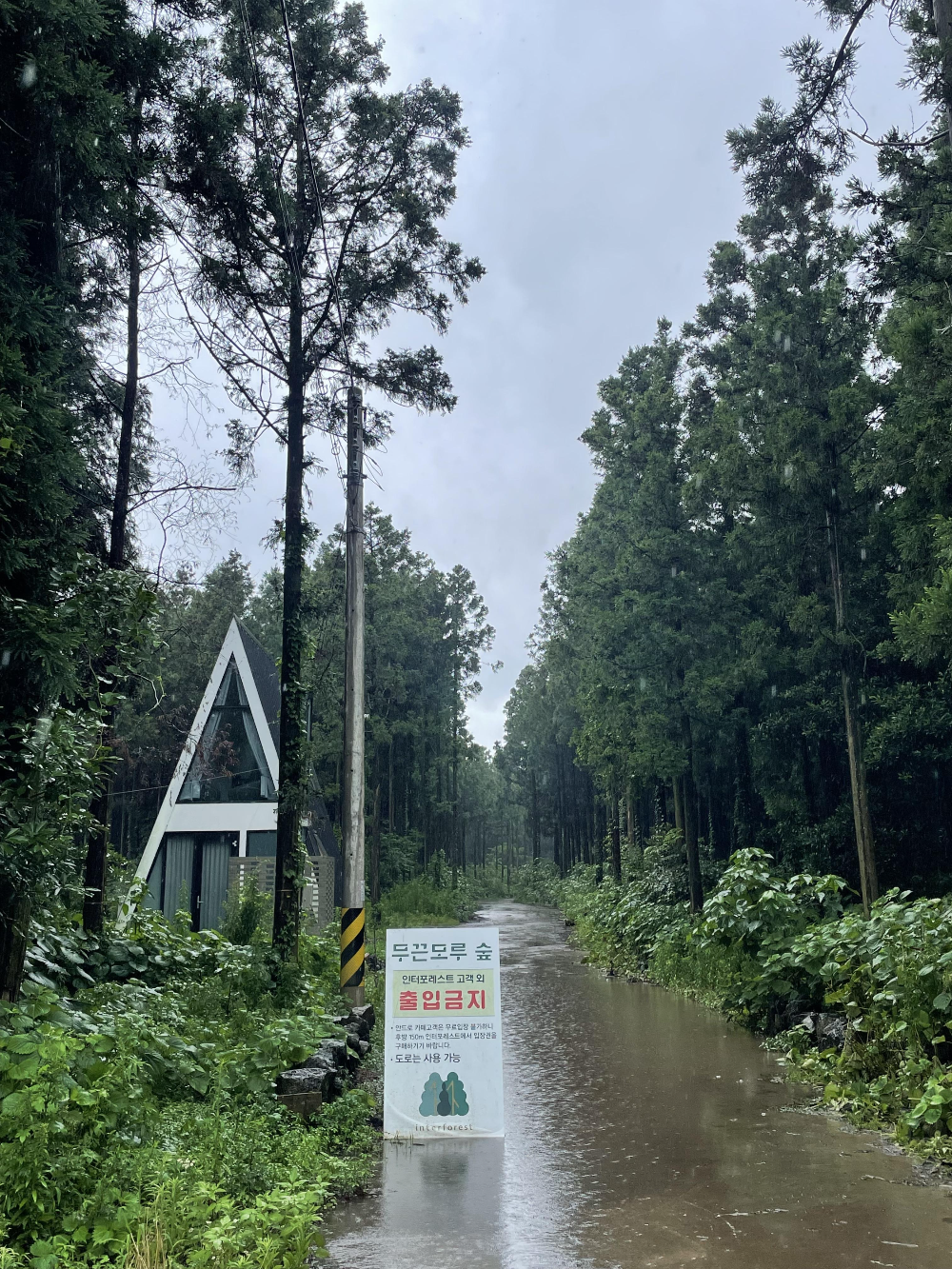 제주-동쪽-구좌-가볼만한곳｜카페-소품샵-포토존이-있는-송당무끈모루