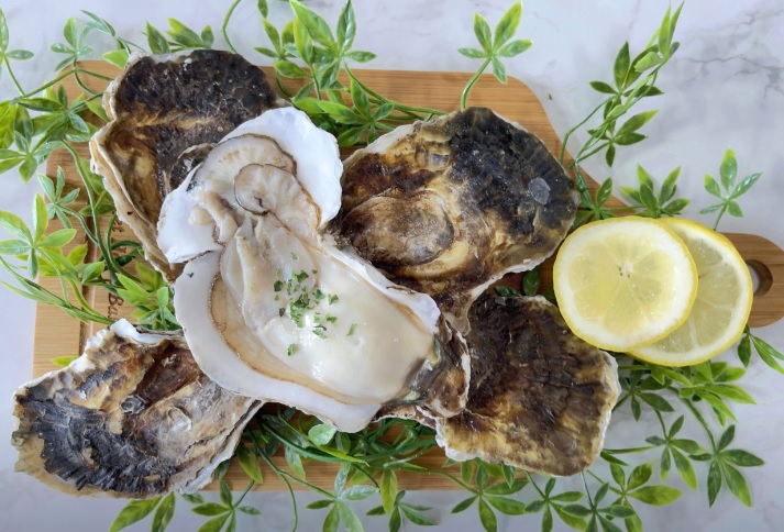 생생정보 미스터 Lee의 사진 한 컷, 대한민국 – 435번째 미션! 하동 섬진강 벚굴수산 주문하기