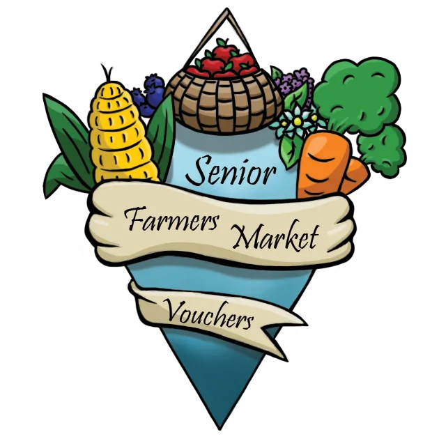 시니어 친화 자격 추천 분야별 난이도 응시팁 취업연계_4