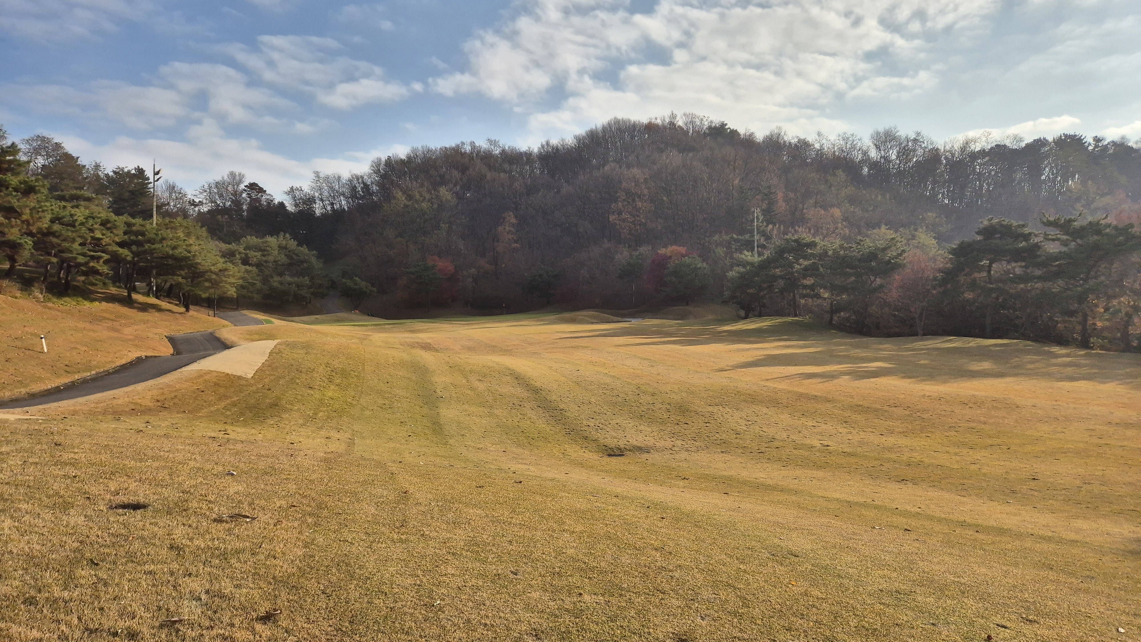 올데이 떼제베cc 가람코스 사진 및 공략 정보