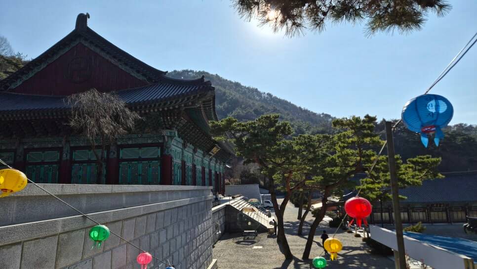 천안 각원사 : 동양 최대 청동좌불상과 겹벚꽃 명소 태조산 자락에 깃든 충청의 대표 대가람