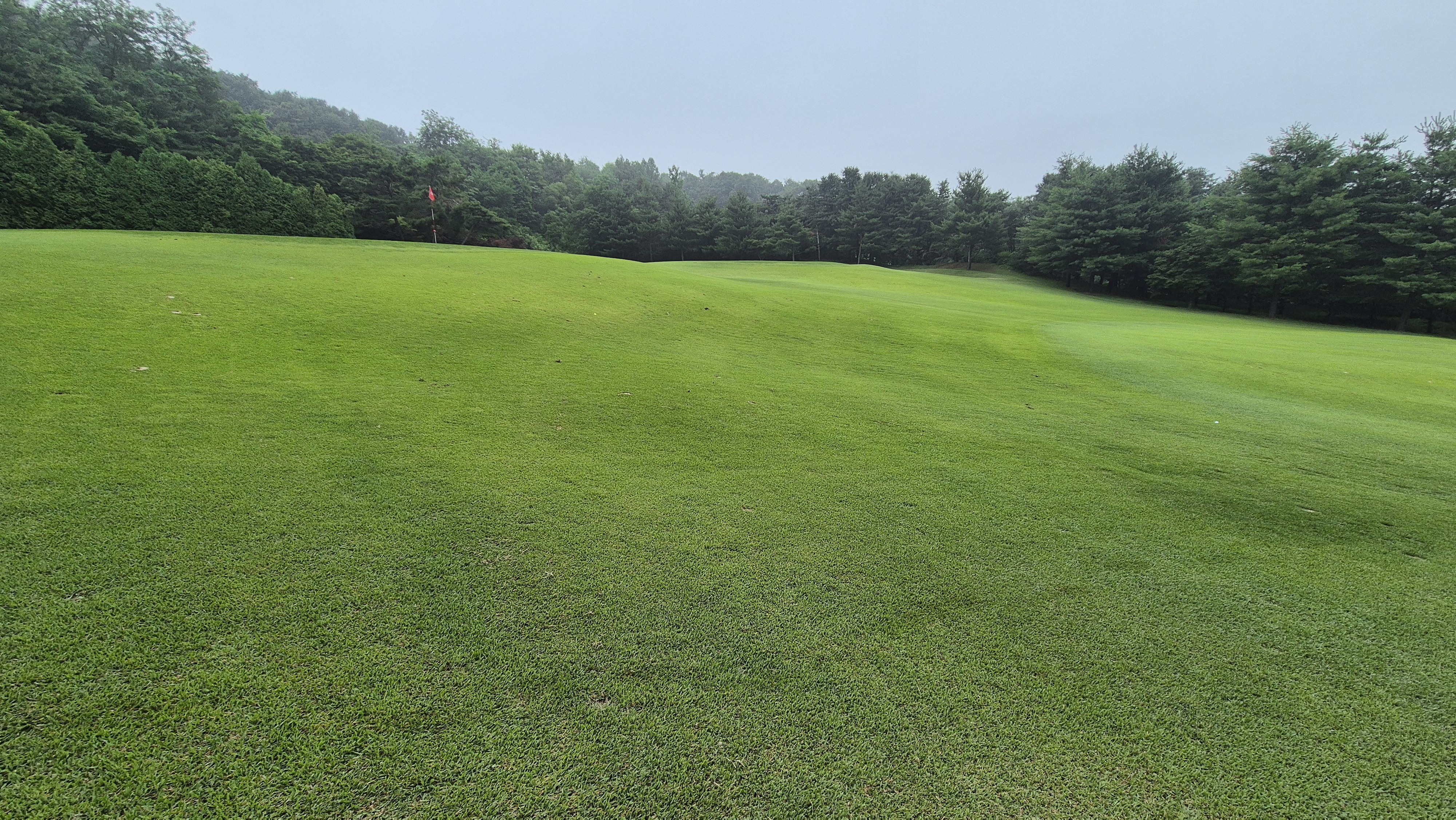 뉴스프링빌cc 공략 정보