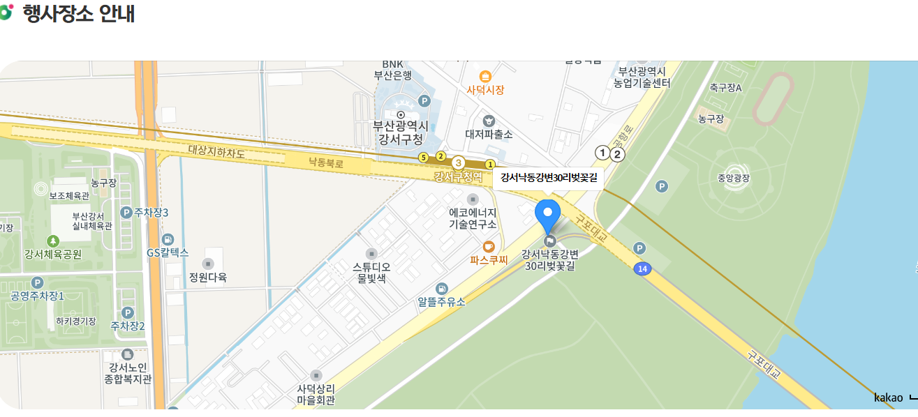 2025년 제8회 강서 낙동강30리 벚꽃축제