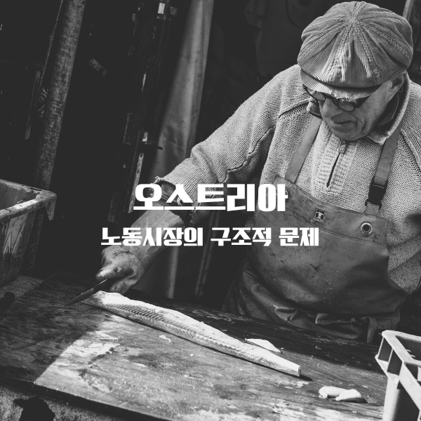 오스트리아 노동시장의 구조적 문제