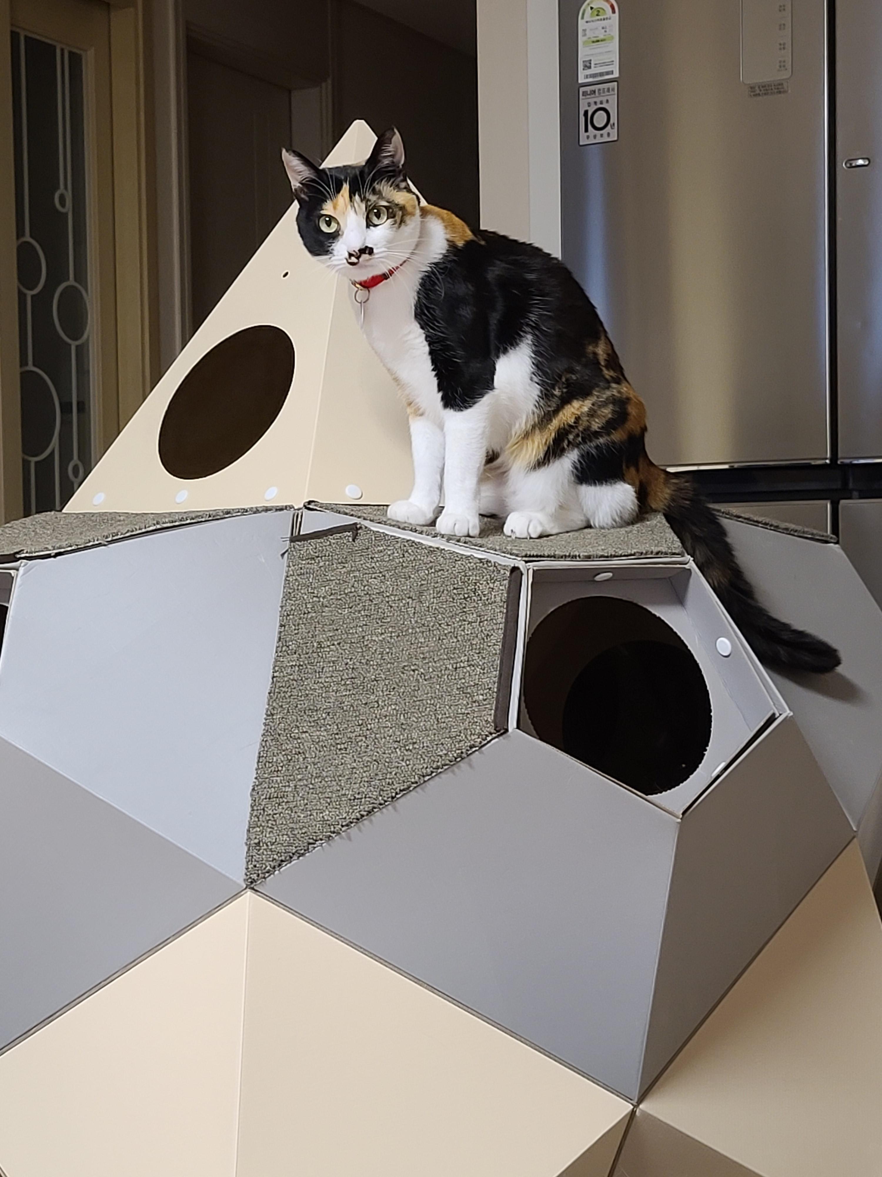 깔끔뭉치 내돈내산 리뷰