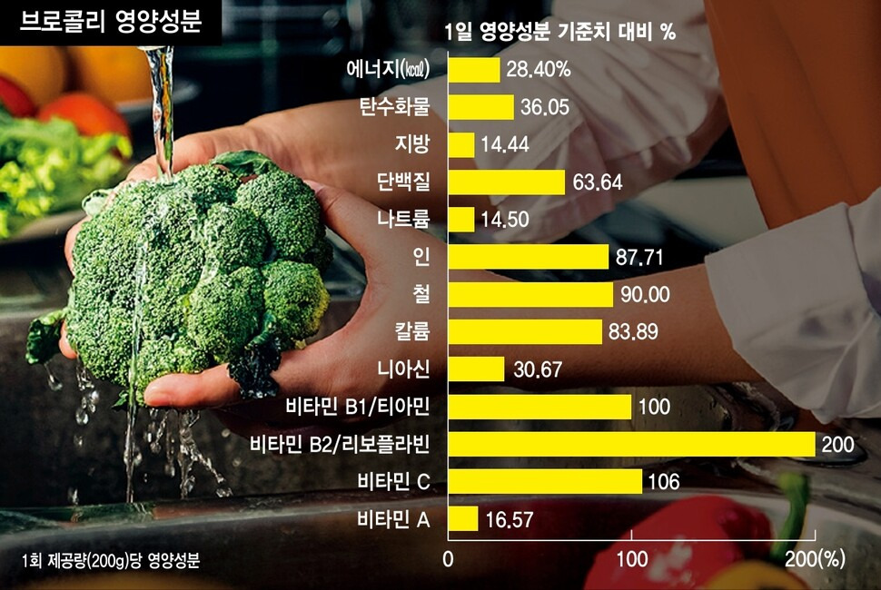 브로콜리 씻는 방법