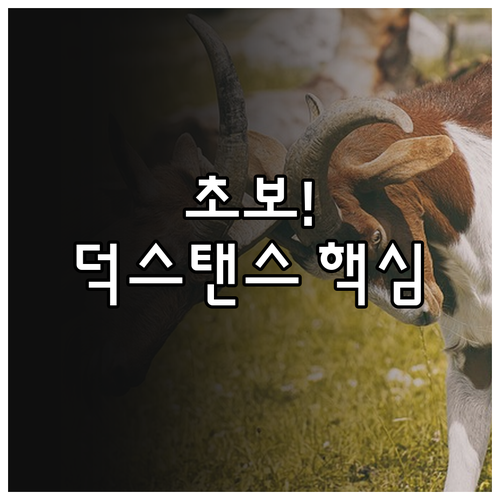 초보 스노보더를 위한 바인딩 덕 스탠..