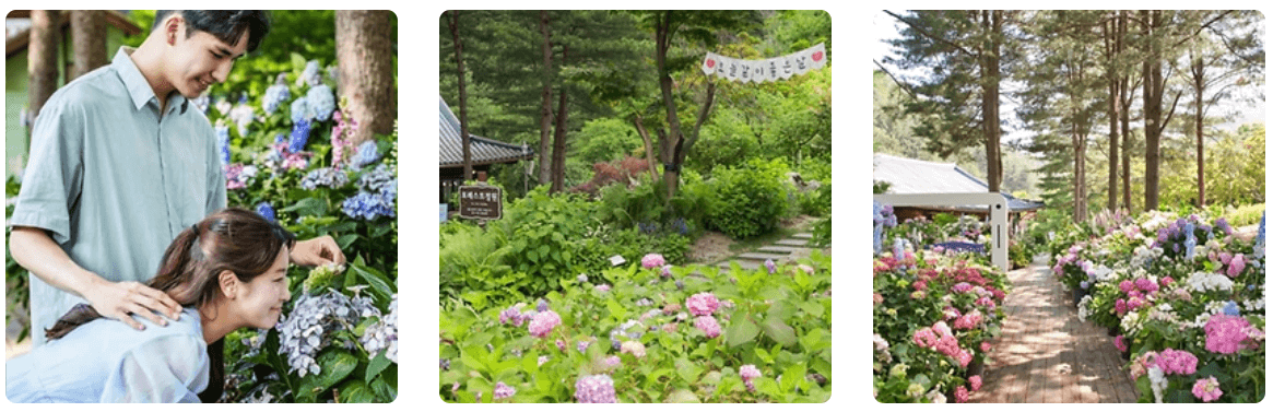 인천, 경기 7월,8월 축제 가볼만한 곳