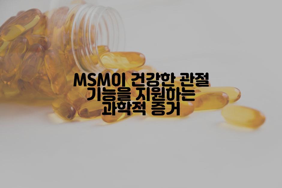 MSM이 건강한 관절 기능을 지원하는 과학적 증거