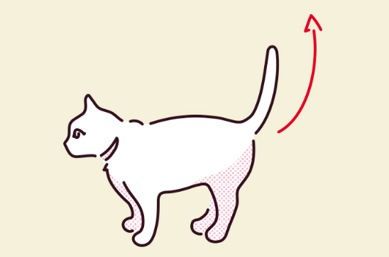 고양이가 꼬리를 쫑긋 세우고 있는 일러스트