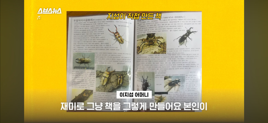 이지섭 인스타 유튜브