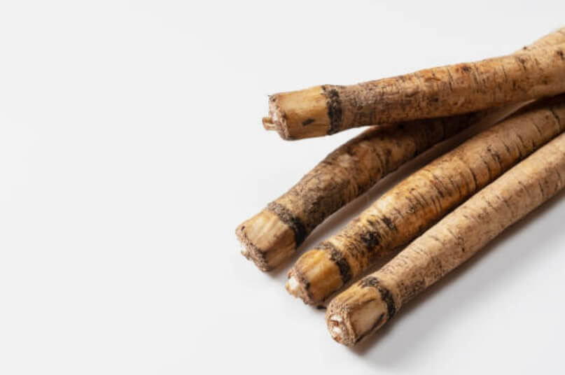 우엉제철시기 우엉품종