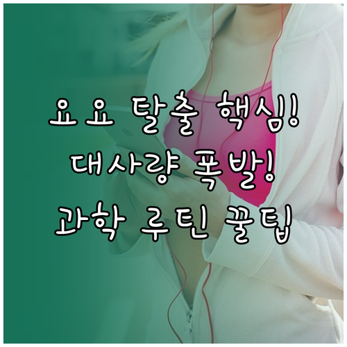 요요 없는 체지방 관리 기초 대사량 ..