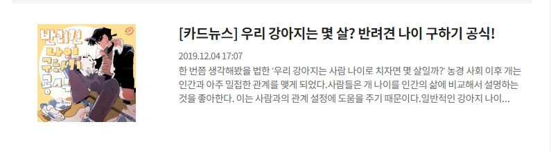강아지 나이 관련 카드뉴스