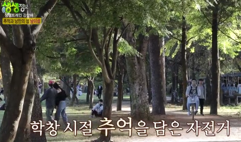 남이섬