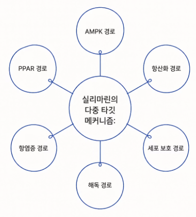 밀크씨슬 효과