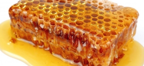 프로폴리스 이미지