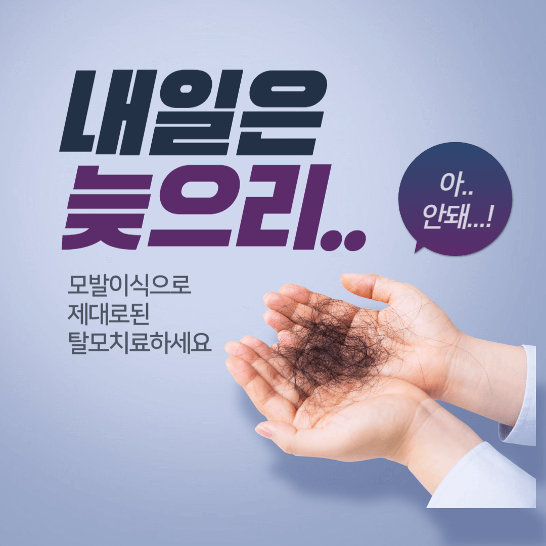 모발이식_3000모_비용