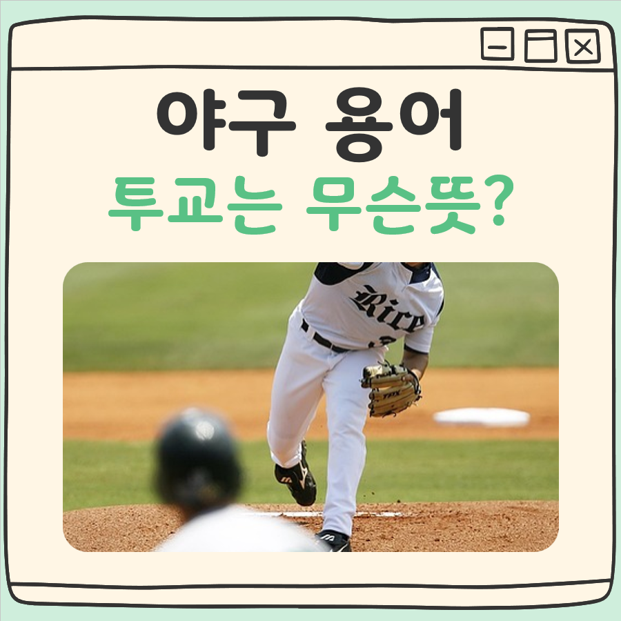 야구 투교 뜻