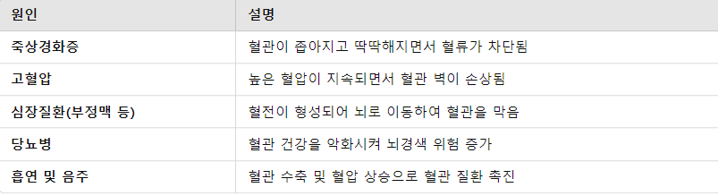 뇌경색의 주요 원인