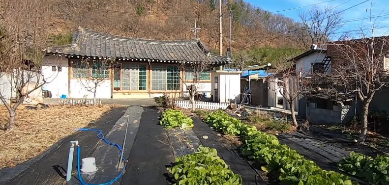 청도 농가주택, 촌집, 시골집, 전원주택 매매, 급매물 - 매전면 금천리, 청도읍 유호리, 각남면 화리, 금천면 사전리