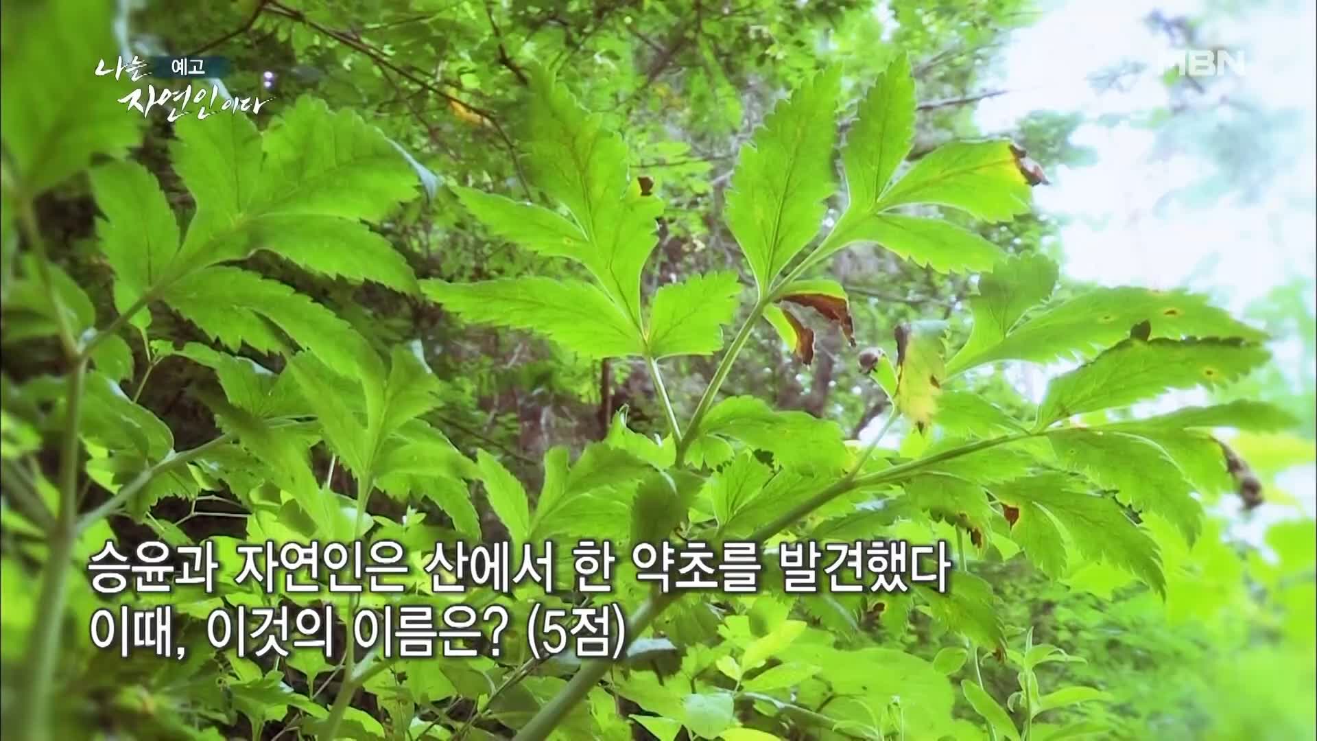 이승윤 윤택 나는 자연인이다 516회 나 자신을 위한 선택을 하기로 결심한 세 번째 스무 살 행복을 쓰는 자연인 차선옥 소개 및 출연 다시보기