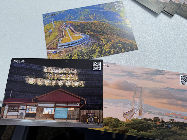 광양 매화축제 개화상황 실시간