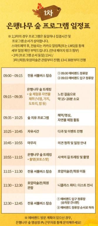 비밀의 은행나무 숲