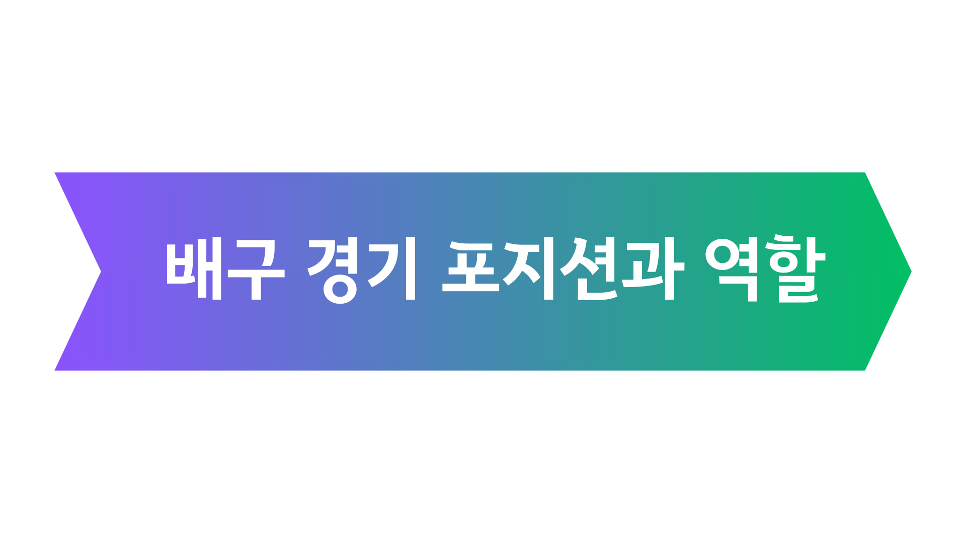 배구 경기 포지션과 역할 포스터