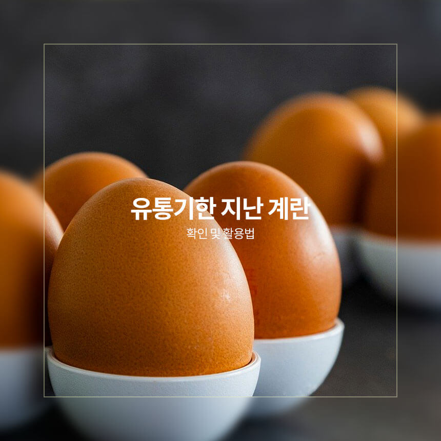 “유통기한-지난-계란-확인-및-활용법”