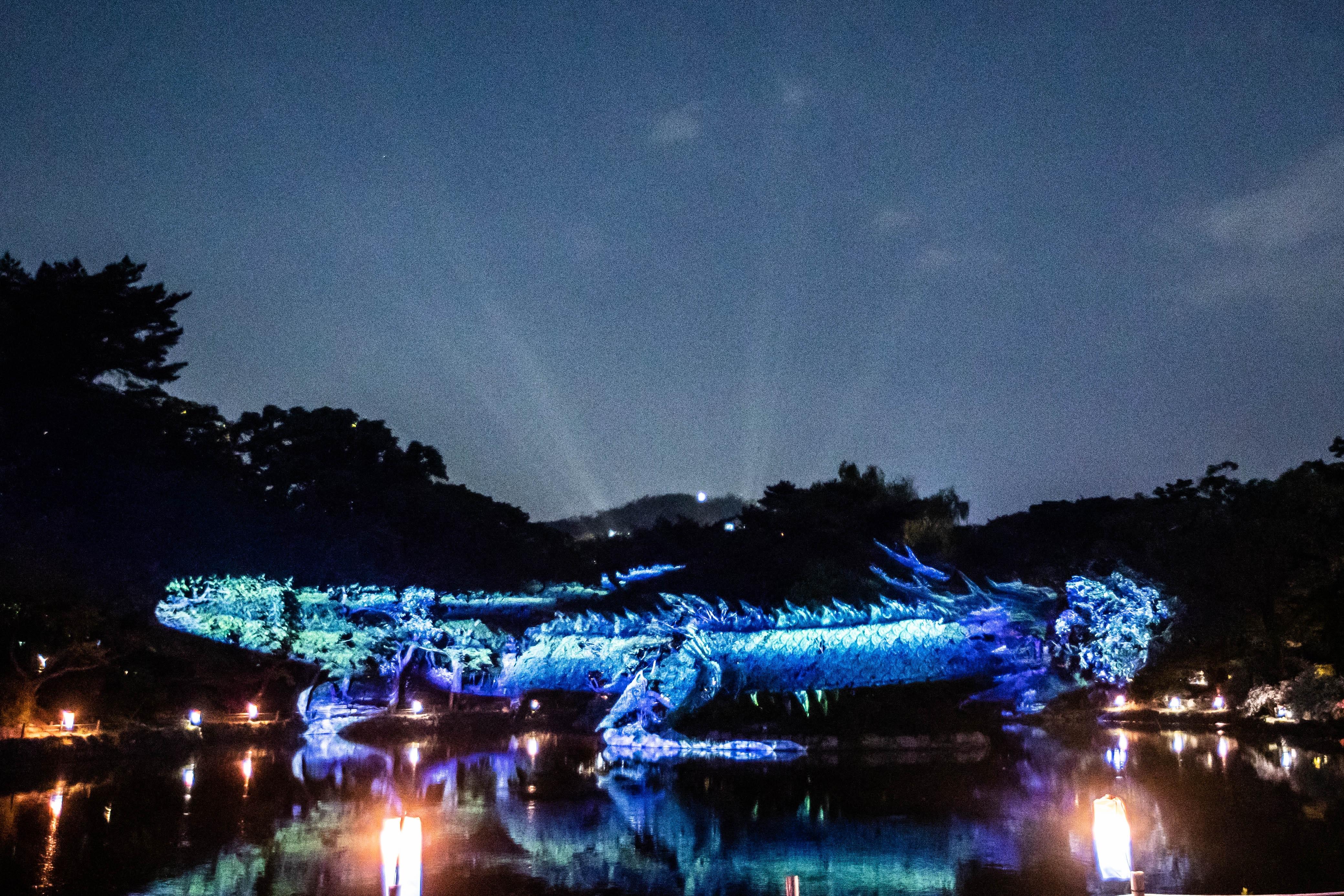 창경궁물빛연화
