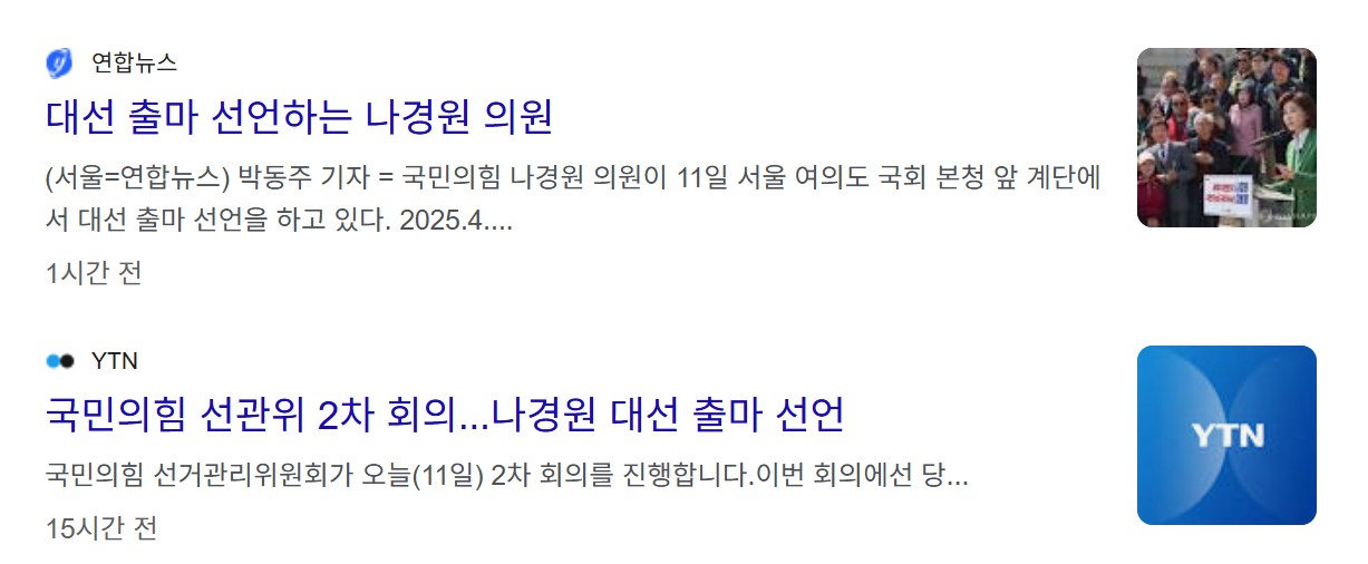 나경원 대선 출마